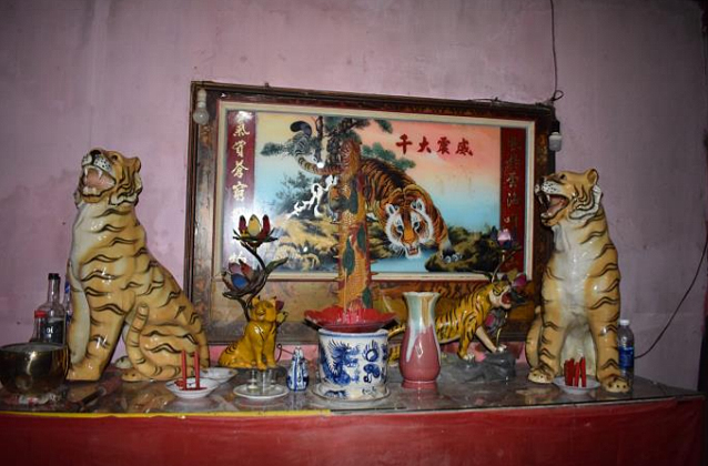có nên thờ ông hổ trong nhà
