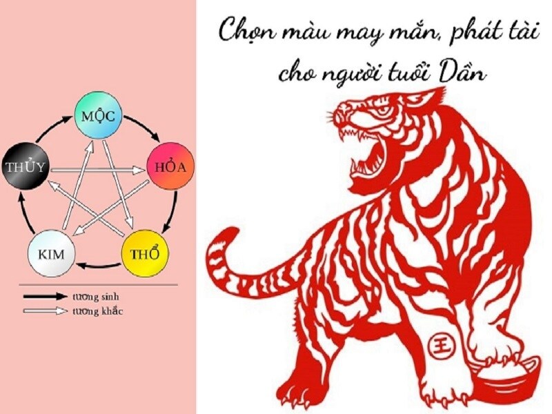 Tuổi Dần chọn đúng hướng nhà giúp thu hút tài lộc và hanh thông sự nghiệp.