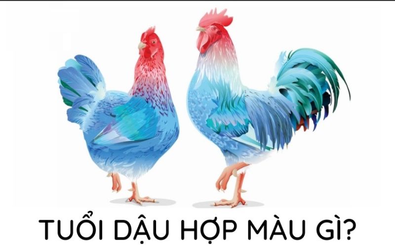 Người tuổi Dậu nên chọn màu sắc hợp mệnh như xanh lá, trắng, đỏ để tăng cường vận khí và tạo không gian làm việc thuận lợi.