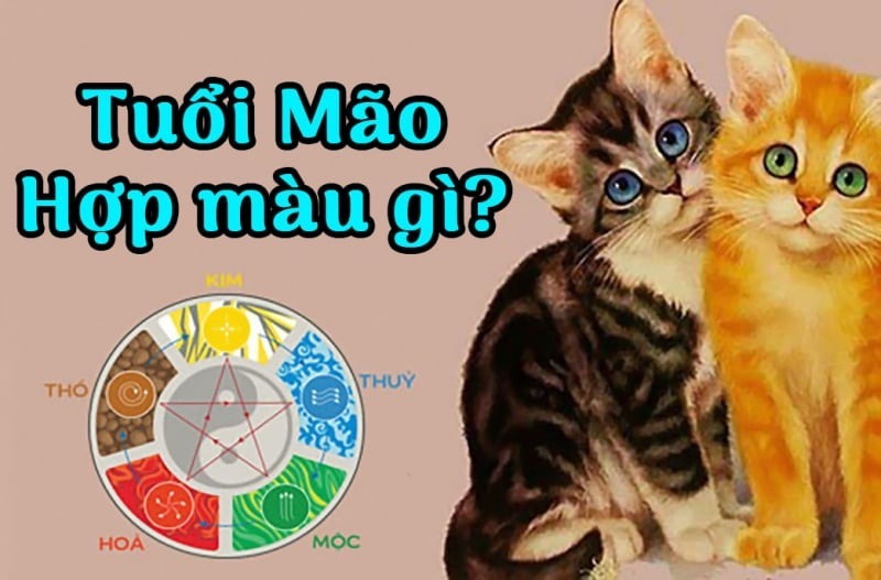 Tuổi Mão nên chọn màu hợp mệnh như xanh dương, đỏ, vàng… để hút tài lộc và giữ tinh thần ổn định trong công việc lẫn cuộc sống.