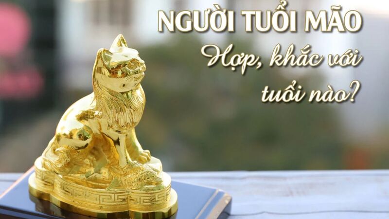 Tuổi Mão hợp Hợi, Mùi, Thìn trong công việc để bổ trợ năng lực và phát triển bền vững.
