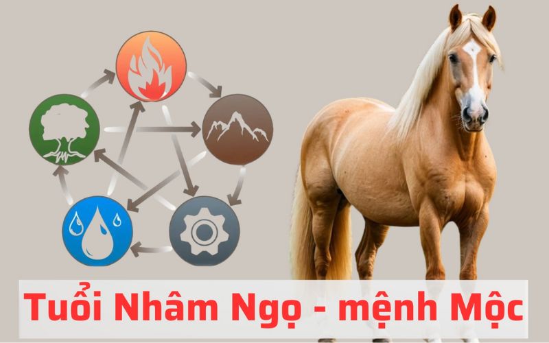 Người tuổi Ngọ nên chọn các hướng như Đông Nam, Nam, Đông để tạo không gian sống và làm việc thuận lợi, thu hút năng lượng tích cực.