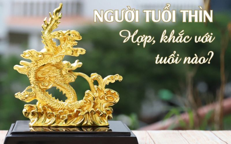 Tuổi Thìn không hợp với Sửu, Mão, Dần do sự xung khắc trong tính cách và cách tiếp cận cuộc sống.