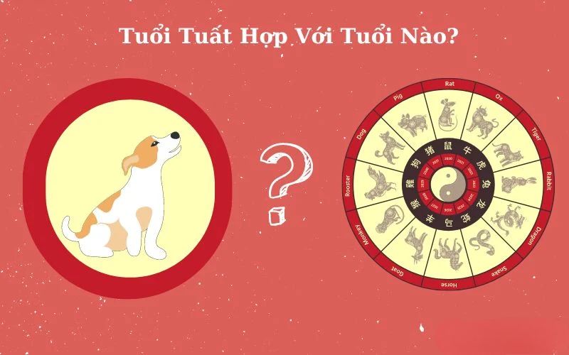 Người tuổi Tuất hợp Dần, Ngọ, Hợi trong công việc để tạo môi trường làm việc hiệu quả, sáng tạo và ổn định.