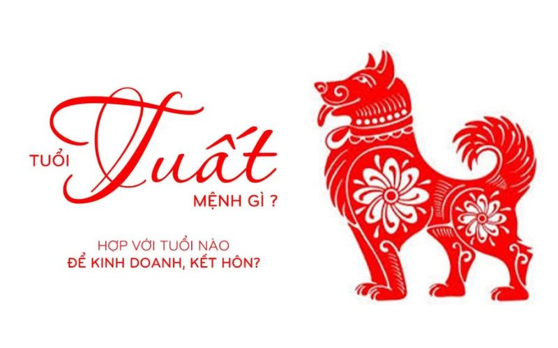 Người tuổi Tuất hợp với Dần, Ngọ, Hợi trong tình yêu để tạo dựng mối quan hệ ổn định, đầy sự tin tưởng và đồng điệu.