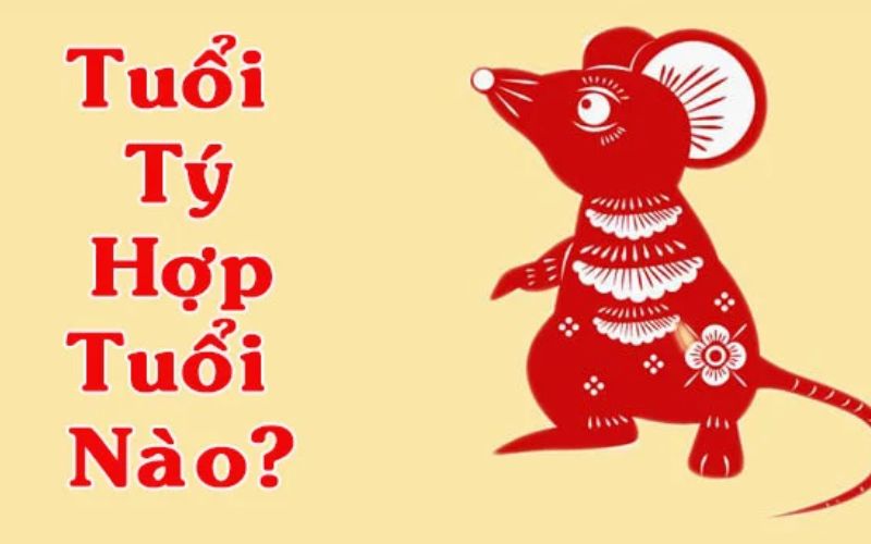 Tuổi Tý hợp Dậu, Thìn, Tỵ trong công việc để kết hợp sáng tạo, lãnh đạo và sự ổn định, tạo hiệu quả cao trong công việc.