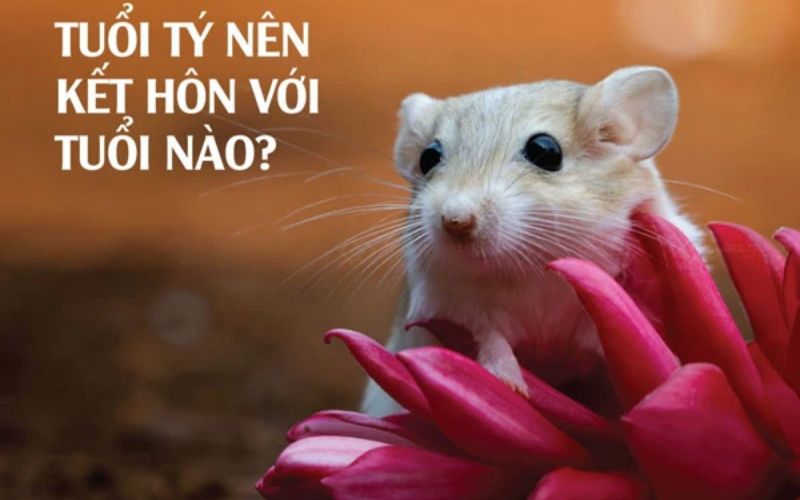 Tuổi Tý hợp Tỵ, Dậu, Thân trong tình yêu để tạo sự hòa hợp, sáng tạo và hỗ trợ lẫn nhau.