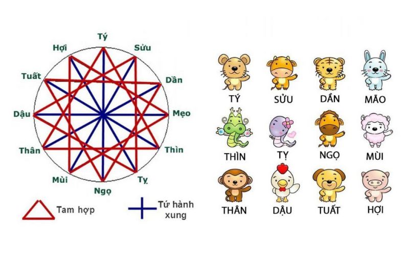 Người tuổi Tý nên chọn màu sắc hợp mệnh như trắng, bạc, vàng, xanh lá để thu hút tài lộc và tạo không gian sống, làm việc hài hòa.