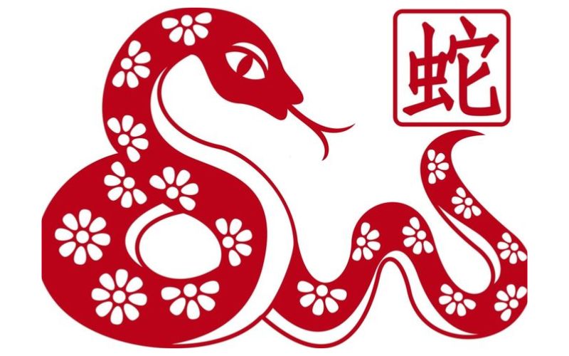 Người tuổi Tỵ kiên nhẫn, thông minh và điềm tĩnh, nhưng đôi khi quá kín đáo và khó mở lòng trong các mối quan hệ.