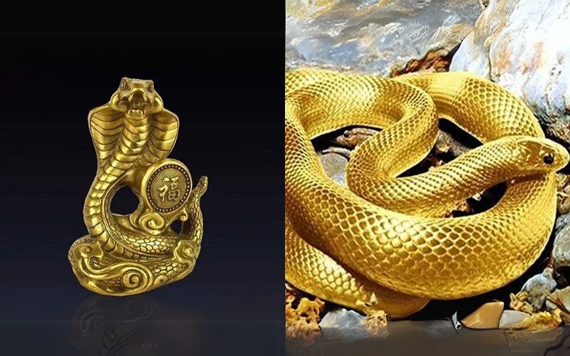 Người tuổi Tỵ nên chọn các hướng như Đông Nam, Nam, Tây Bắc, hoặc Đông để thu hút năng lượng tích cực và ổn định tài vận.