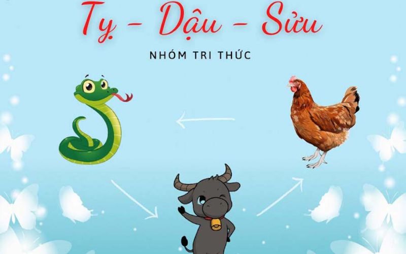 Tuổi Tỵ hợp Dậu, Sửu, Mão trong tình yêu để xây dựng mối quan hệ ổn định, hiểu nhau và lâu dài.